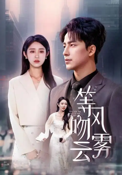 七七影院推理剧 双城谜案 海报